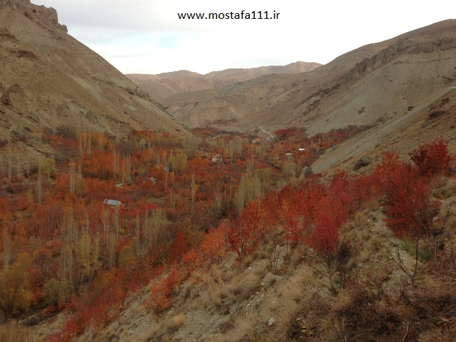 طبعیت پاییزی باغ های زیر کاخ ناصری در دره شهرستانک 